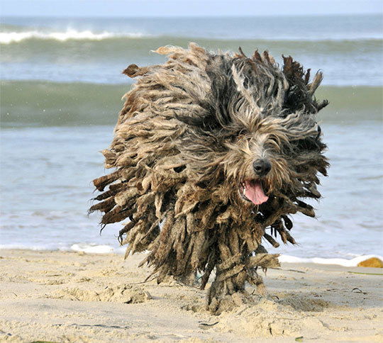 Светлана Савина