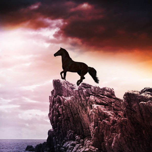 Пётр Дрангоз