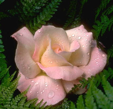 Кристина )))))