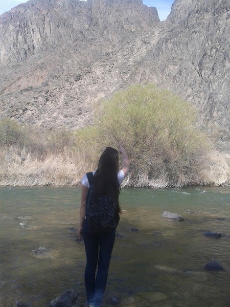 Адема Турганбекова