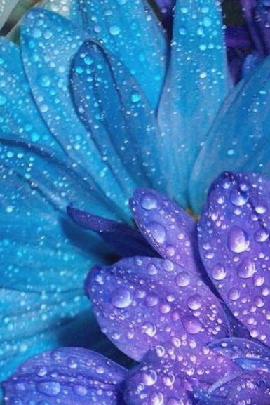 Валерия Маннинен