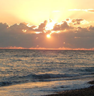 Екатерина Назарова