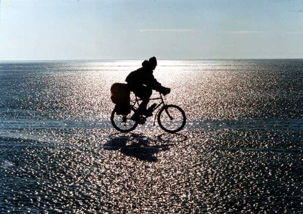 Роман Анатольевич