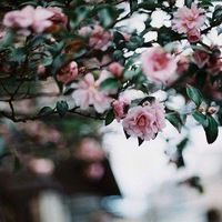 Александра Смирнова