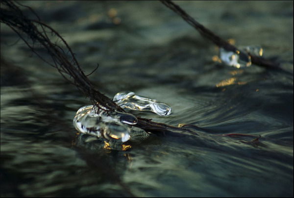 Наталья Титова