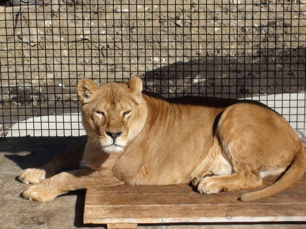 Екатерина Смирнова