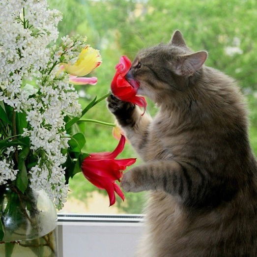 Дмитрий Соложнин