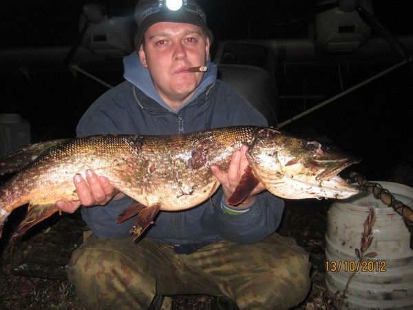 Dimyan Никифор