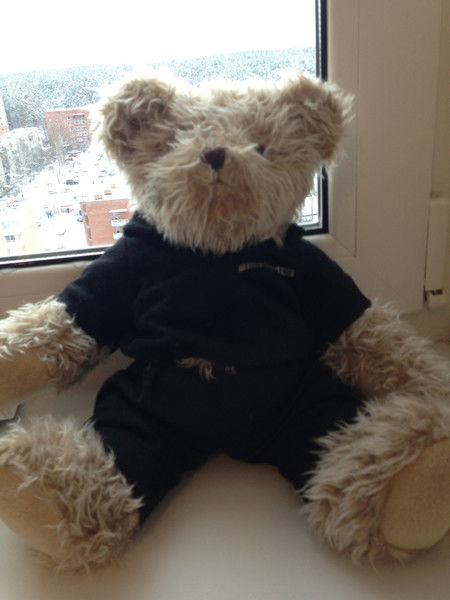 Елена Войтехович