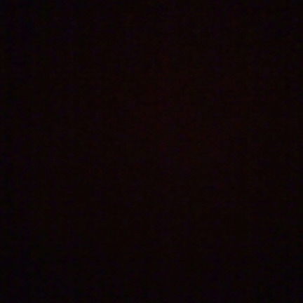 Прокошева Светлана