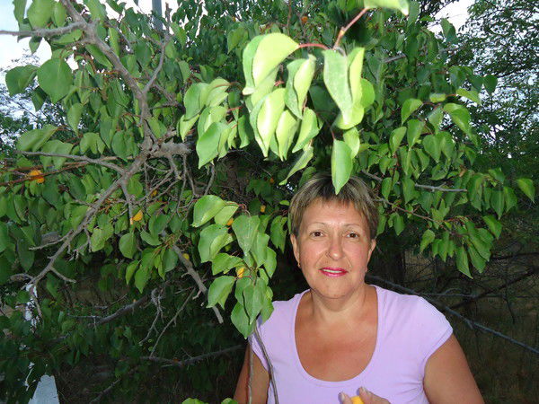 Любовь Лисовицкая