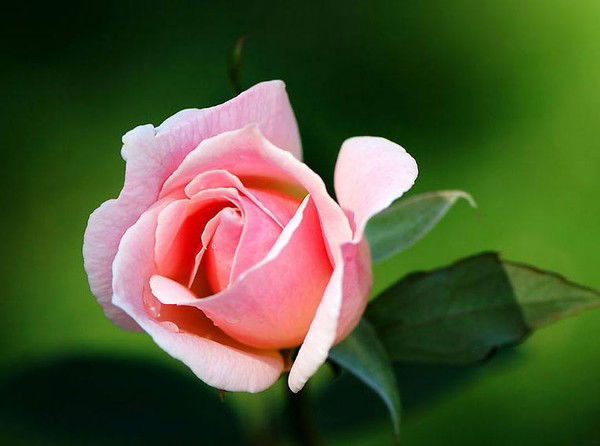 Гульназ Зиатдинова