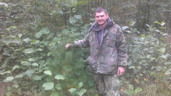 Дмитрий Песоцкий