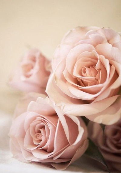 Елизавета Кудряшова