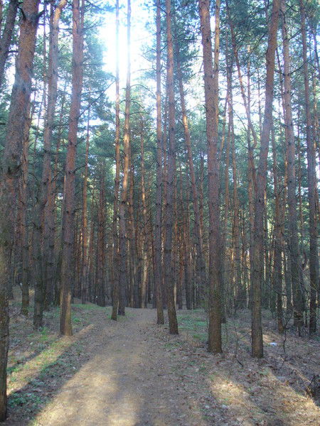 Марина Данилова