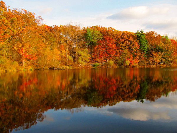 Ирина Субботина