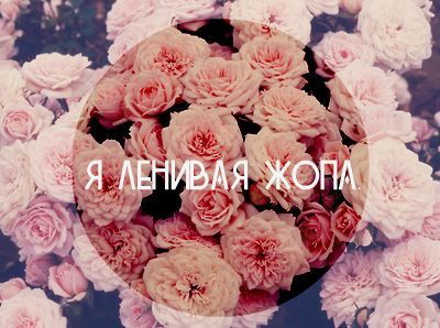 *lеnиvая Жoпa*