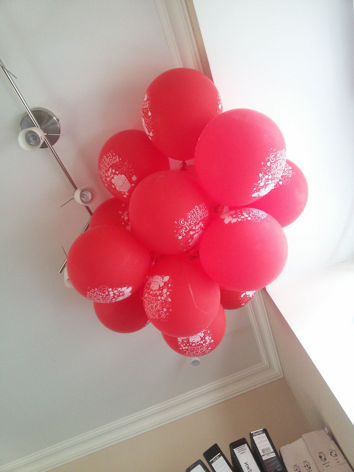 Оксана Сорокина