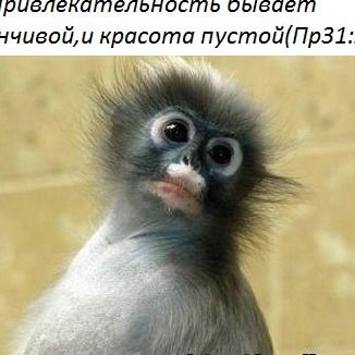 Елена Ворошилова