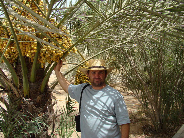 Николай Давиденко