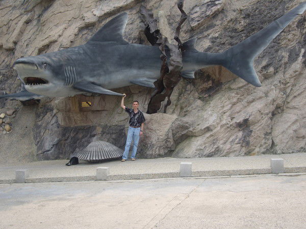 Павел Северин