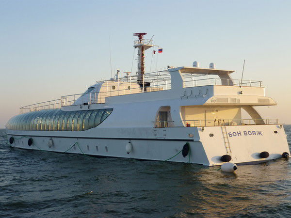 Елена Шевченко