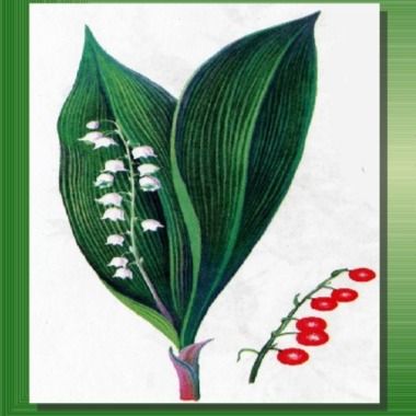 Гулнара Сатыбалдиева