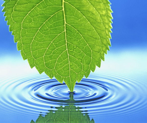 Шамиль Гамзатов