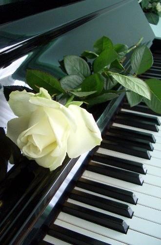 Ирина Сафина