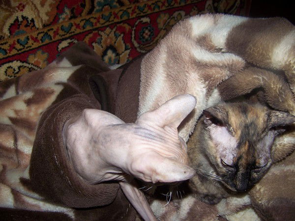 Оксана Горпиненко