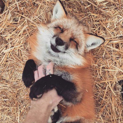 Вадим Хазин