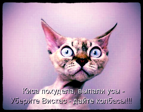 Людмила Фарафонова