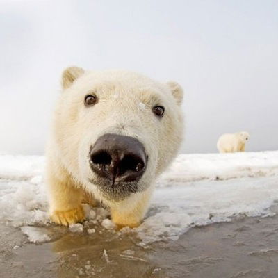 Вячеслав Сотников