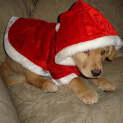 Ольга Ляхова