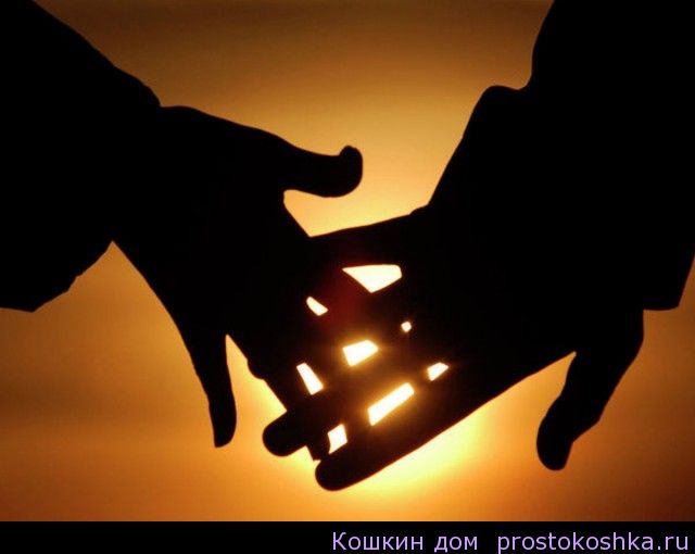 Насим Зикруллоев