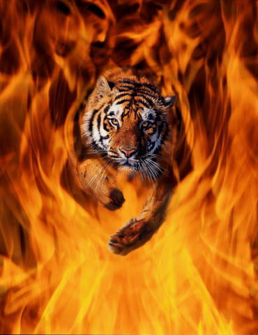 Сергей Ивашкин