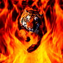 Сергей Ивашкин