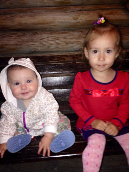 Ольга Веникова