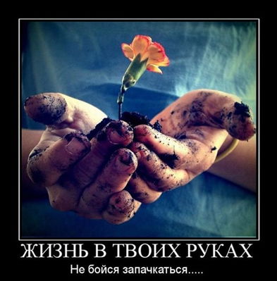 Чигвари Чеченец.