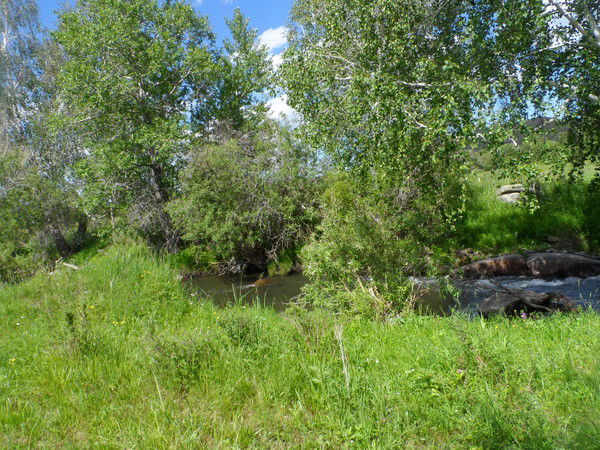 Мукашева Жамиля