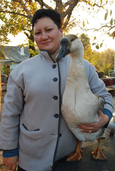 Елена Ковалёва