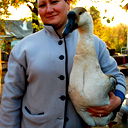 Елена Ковалёва