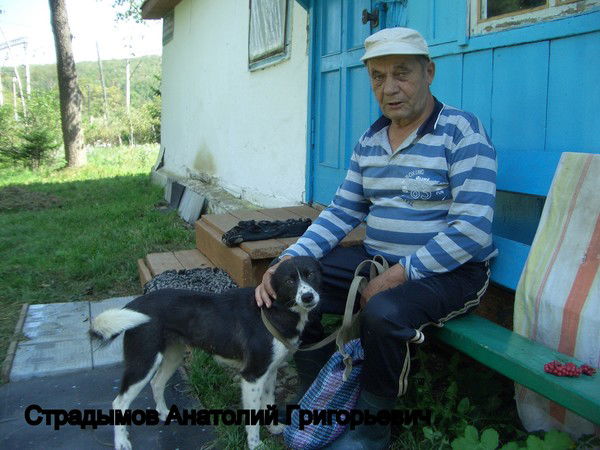 Анатолий Страдымов