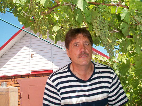 Алексей Никифоров