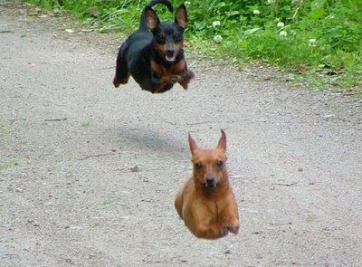 Aлинка Гладкова