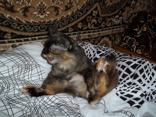 Матвиенко Владимир