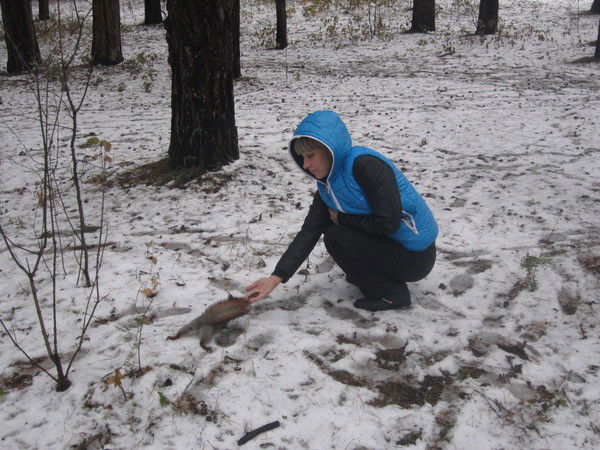 Аня Тюрина (Авдеева)