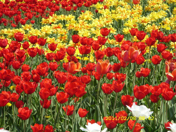 Оксана Бандурка