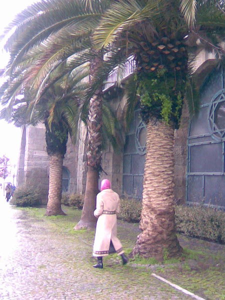 Чынара Тойчуева