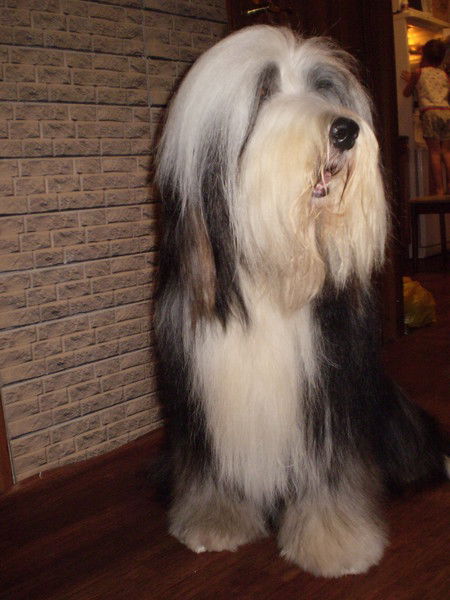 Марина Красилова